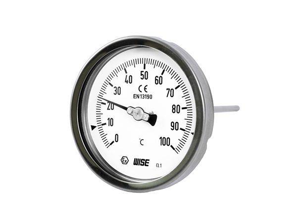 Đồng hồ đo nhiệt độ T110-100/250